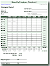 Biweekly Timesheet Template