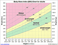 Thumbnail - BMI Chart Template