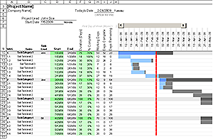 Gantt Chart Template