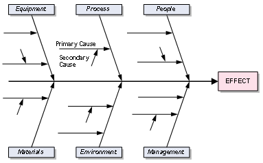 Fishbone Diagram