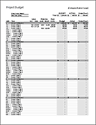 Project Budget with WBS - Thumbnail