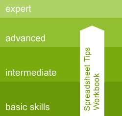 Spreadsheet Tips Workbook Skills