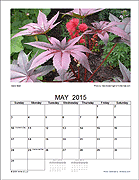 Flower Photo Calendar