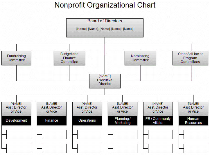 Nonprofit Organization Chart Template